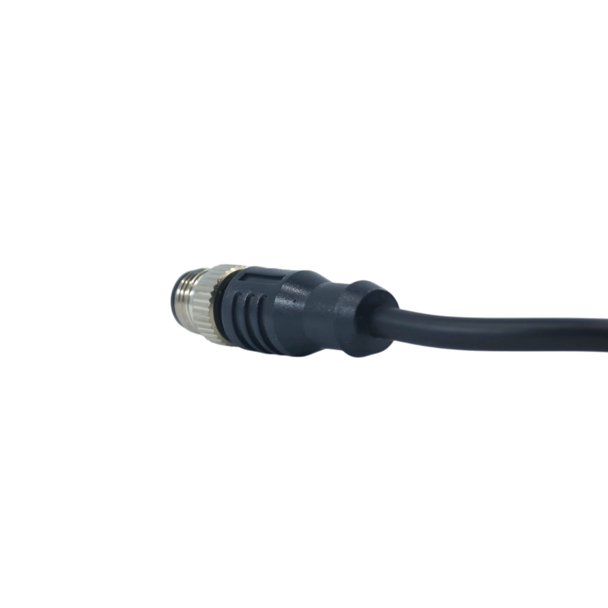 ZA12MAA04ST20CB34LC - Zenso - Cable recto