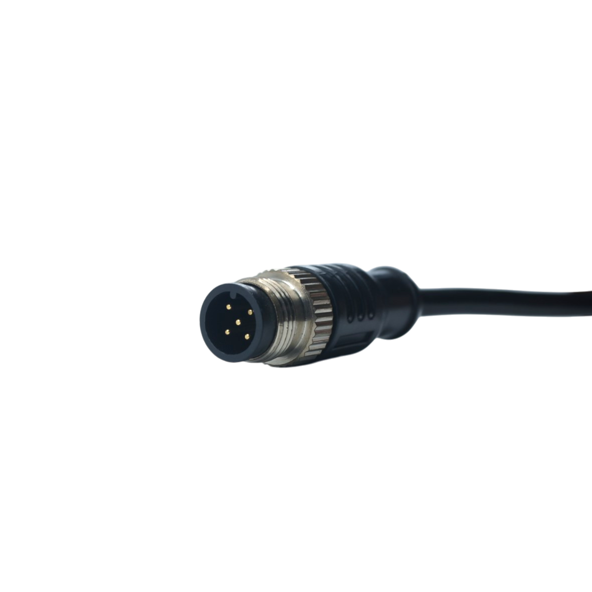 ZA12MAA05ST50CB34LC - Zenso - Cable recto